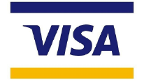 Icono pago visa